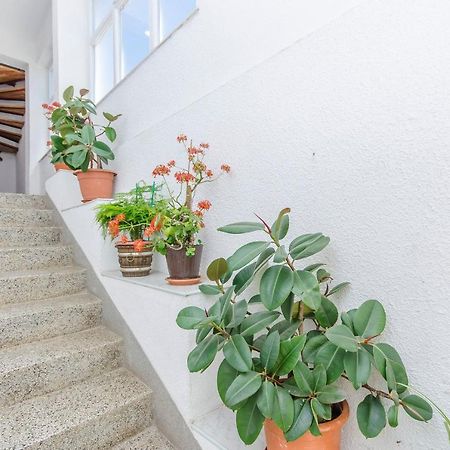Apartments Zora Starigrad Paklenica Ngoại thất bức ảnh